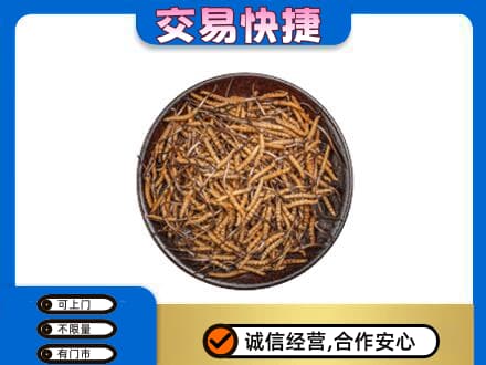 旌德县高价回收散虫草
